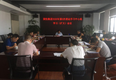 國(guó)投集團(tuán)學(xué)習(xí)貫徹習(xí)近平總書記視察 安徽重要講話精神